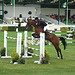 Joe Whitaker Photo 3