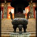 Lin Hong Photo 35