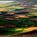 Edward Spade Photo 11