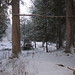 Joe Rich Photo 21