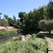 Shelley Davies Photo 22