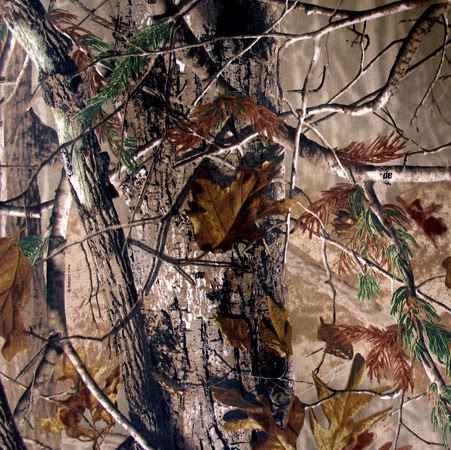 Paul Cote Photo 19
