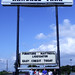 Lynne Randall Photo 5