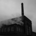 Ellen Milling Photo 2