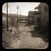 Allen Dutton Photo 12