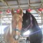 Karen Bird Photo 6