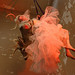 Anthony Cooley Photo 31