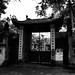 Cu Tran Photo 18