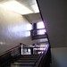 Chelsea Ward Photo 22