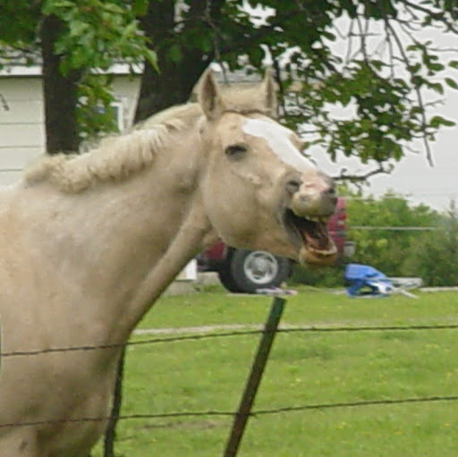 Cynthia Ward Photo 7
