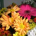 Sandra Mims Photo 34