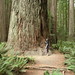 Jill Stout Photo 14