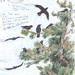Debbie Crow Photo 26