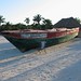 Mark Soliman Photo 26