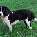 Wilma Foster Photo 20