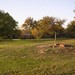 Marsha Burns Photo 32