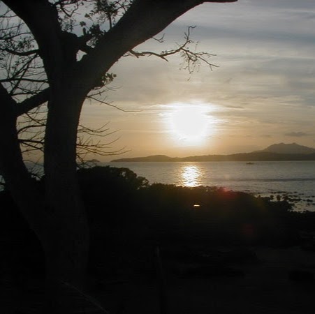 Luis Delvalle Photo 24