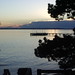 Dawn Phillips Photo 8