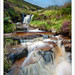 Steve Dull Photo 7