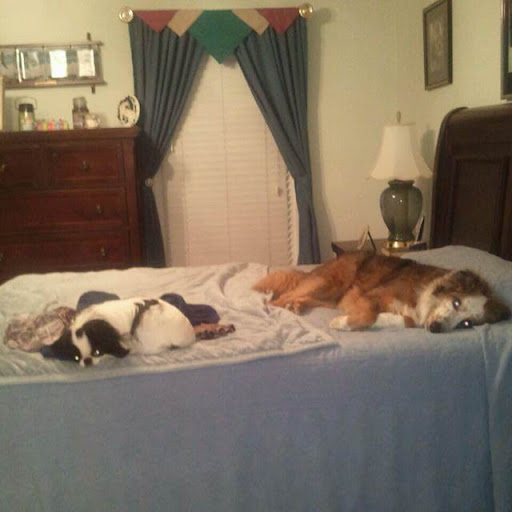 Teresa Maddox Photo 31