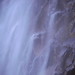 Tom Reavis Photo 22