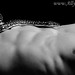 James Speck Photo 26