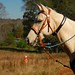 Leeann Nelson Photo 18