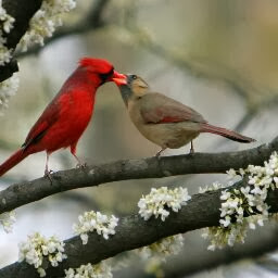 Mary Etter Photo 5