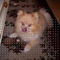 Martha Travis Photo 10