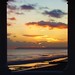 Vicki Burton Photo 28