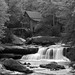 Randy Mills Photo 12