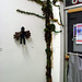 Stacey Roth Photo 37