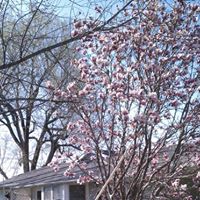 Joyce Savage Photo 28