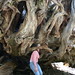Heather Grove Photo 23