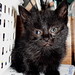 Annie Foster Photo 22