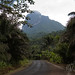 Maria Fernandes Photo 26
