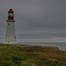 Ron Low Photo 18