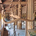Hang Lin Photo 6