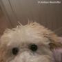 Elizabeth Slater Photo 15