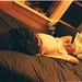 Patty Walsh Photo 17