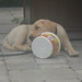 Alec Rich Photo 10