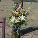 Shelly Gates Photo 25