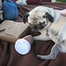 Stephanie Goins Photo 15