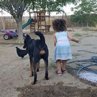 Brian Thompson Photo 5
