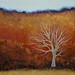 Deborah Maples Photo 24