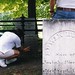 Eugene Perkins Photo 11
