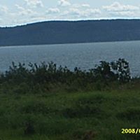 Cathy Fulton Photo 12