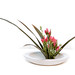 Shelli Flowers Photo 5
