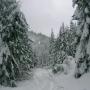Lisa Casperson Photo 8