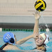 Steven Libbey Photo 6